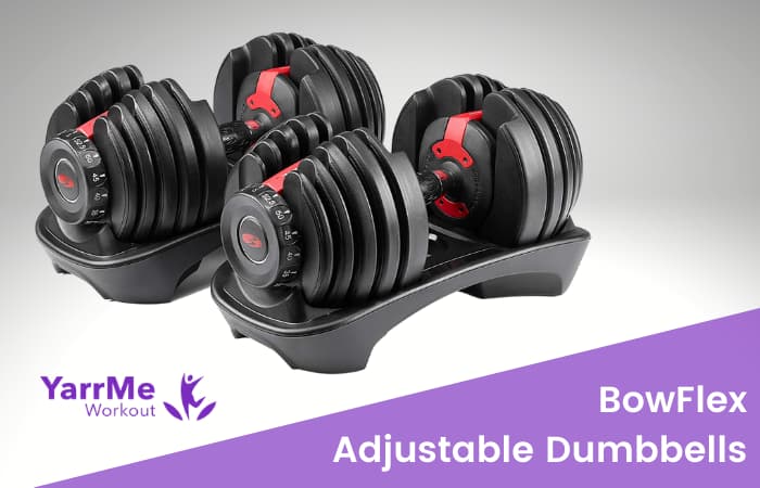 Bowflex ST 552 Dumbbell weights