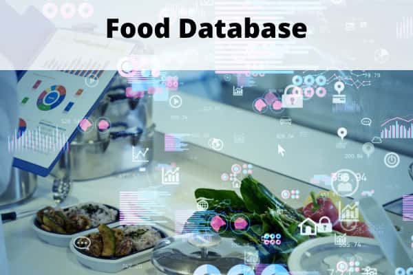 Food Database_ Noom vs MyFitnessPal