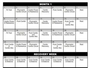 [Free PDF] Insanity Calendar for 60 days in 2022 - Total Body Workout